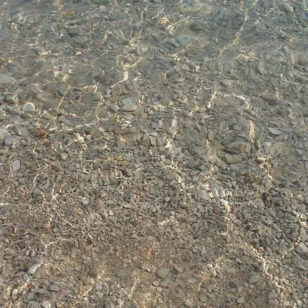 Daniela Omiš